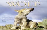 Rainforest Wolves, Crying Wolf in Kyrgyzstan, · Rainforest Wolves, page 4 Crying Wolf in Kyrgyzstan, page 7. 3 From the Executive Director 10 ... National Geographic magazine and