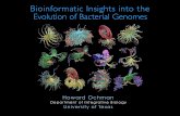 Bioinformatic Insights into the Evolution of Bacterial Genomesbioinformatics.org.au/ws/.../sites/10/2016/07/...1.pdf · Bacterial Genomics (before 1995) • Bacterial chromosomes