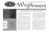 BRINGING NATURE HOME · The New England Wildflower Society Guide to Growing and Propagating Wildflowers of the United States and Canada to numerous wildflower enthusiasts over the