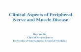 Clinical Aspects of Peripheral Nerve and Muscle Disease · 2017-01-27 · Clinical Aspects of Peripheral Nerve and Muscle Disease Roy Weller Clinical Neurosciences University of Southampton