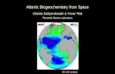 Atlantic Biogeochemistry from Space - eo4society€¦ · • Modern estimates of marine primary production are higher than classical estimates based on small number of in situ data