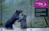 Rewilding Europe is about making Europe a wilder place, with …assets.panda.org/downloads/rwe_factsheet_juni_2011_41.pdf · 2011-08-30 · belonged – bison, red deer, ibex, chamois,
