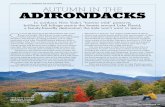 article and photos by Stephanie and Jeremy Puglisi AUTUMN ... · (Left) Plan on spending an entire day at the 81-acre Wild Center in Tupper Lake exploring the elevated Wild Walk trail