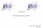 Hearing The Vestibular systemneuron.mefst.hr/docs/katedre/neuroznanost/katedra... · 2013-04-01 · health problems such as asthma, ... Inflammation of the vestibular labyrinth •Vestibular