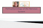Pathophysiology of the Nervous System - The Health Hub · the vestibular labyrinth of the inner ear. ... The otoliths may become displaced from the utricle by aging, head trauma,
