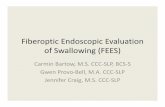 Fiberoptic Endoscopic Evaluation of Swallowing (FEES) · fiberoptic endoscopy is an imaging procedure that may be utilized by speech-language pathologists to evaluate swallowing function.