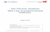 The Chronic Oedema Wet Leg (Lymphorrhoea) Pathway · 2020-01-08 · The Chronic Oedema ‘Wet Leg’ (Lymphorrhoea) Pathway v3.0 FINAL 12.08.2019 4 we implement chronic oedema management
