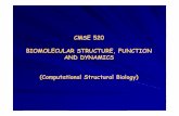 CMSE 520 BIOMOLECULAR STRUCTURE, FUNCTION AND DYNAMICS (Computational Structural Biology)home.ku.edu.tr/~okeskin/CMSE520/lecture1.pdf · 2006-02-13 · OUTLINE Review: Molecular biology