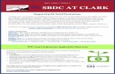 SBDC Newsletter 8 · Create or modify a digital storefront to enhance e-commerce (for example, list the top 50 products). Implement or modify a scheduling system (for example, for