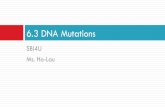 6.3 DNA Mutations · Single-gene Mutations involve changes in the nucleotide sequence of one gene categorized according to how they affect the amino acid sequence: 1. Silent mutations
