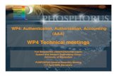 WP4 Technical meetings - UAZone.org...2008/04/07  · WP4: Authentication, Authorisation, Accounting (AAA) WP4 Technical meetings Yuri Demchenko  System
