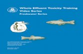 Whole Effluent Toxicity Training Video Series, Freshwater ... · Whole Effluent Toxicity Training. Video Series. Freshwater Series. U.S. Environmental Protection Agency Office of