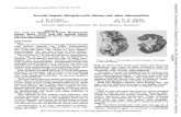 Juvenile hepatic fibropolycystic J. CARTY C. T. JONES · Craniostenosis maybeinherited as a recessive (Gaudier et al., 1967). Multiple skull defects have been reported in patients
