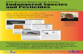 Endangered Species and Pesticides poster · Copepod Cyclops sp. enlarged 6X lifesize Reproduction From February to June, adults swim upstream into river channels and backwaters of