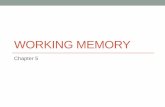 WORKING MEMORY - Wofford College€¦ · “Working” memory •Do the following calculations in your head •7 x 9 •74 x 9 •74 x 96 •Read the following sentences and construct