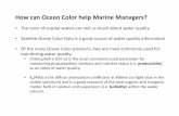 How can Ocean Color help Marine Managers?coralreefwatch.noaa.gov/satellite/research/poster/prico-2.pdfNESDIS/STAR’s 5 km Geostationary-Polar Blended Satellite Sea Surface Temperature