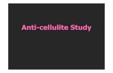 Anti-cellulite Study - EVENSWISS · Anti-cellulite Study. Cellulite is a great aesthetic skin problem that affects 80-90% of women. Background information Fat protrusions The perception