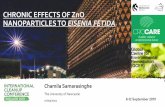 CHRONIC EFFECTS OF ZnO NANOPARTICLES TO EISENIA FETIDAadelaide2019.cleanupconference.com/wp-content/uploads/2019/09/… · • Antifouling paints • Antimicrobial usage – Biocides?
