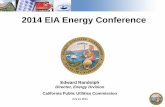 2014 EIA Energy Conference · 2014 EIA Energy Conference . Clean Electricity Policy Initiatives ... • Rate structures (e.g. tiered rates, ... Versus CPI, 2003-2019 . Germany by