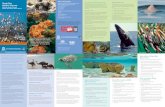 More information Shark Bay Department of Biodiversity ... · Seagrass in Shark Bay Shark Bay Marine Park zones Shark Bay Marine Park is zoned to enable multiple use – recreation,