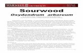 Pub. No. 10 March 2016 SourwoodWood Use Sourwood does not have sour tasting wood. Sourwood wood has no odor or taste. The wood is diffuse porous, hard, dense, heavy, and close-grained
