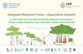 Integrated Mangrove Forest Aquaculture Systems · CONCLUSIONS: Integrated Mangrove−Aquaculture Systems • Low cost approach to protecting coastal areas against climate change,