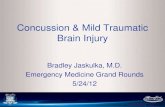 Concussion & Mild Traumatic Brain 2012-05-30آ  Traumatic Brain Injury in H.S Athletes7 â€¢235 U.S. high