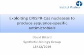 Exploiting CRISPR-Cas nucleases to produce sequence ... · • Florence Depardieu • Lun Cui • Gayetri Ramachandran • Aude Bernheim • Belen Gutierrez-Soriano • Antoine Vigouroux
