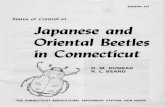 Status of Control of Japanese and Oriental Beetles in Connecticut · Dennis M. Dunbar and Raimon L. Beard The Oriental beetle, Anomala orientalis Water-house, was found in Connecticut