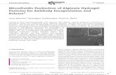 Microfluidic Production of Alginate Hydrogel Particles for ... · Microﬂuidic Production of Alginate Hydrogel Particles for Antibody Encapsulation and Releasea Linas Mazutis,* Remigijus