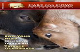 February 2013careforcows.org/cfc/download/newsletters/CFCNewsFebruary2013.pdf · February 2013 Bow Your head Cows Love, Think & Act Tribute to Bharata