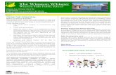 The Winston Whisper · 2020-06-17 · The Winston Whisper Winston Hills Public School Hillcrest Ave, Winston Hills 2153 T: 9639 8518 Email: winstonhil-p.school@det.nsw.edu.au Website: