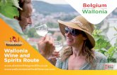 Wallonia Wine and Spirits Route - cdn.wbtourisme.be · Wallonia uses two types of production: • Traditional grape varieties (Pinot noir, Pinot gris, Pinot Auxerrois, Chardonnay…);