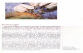 artroscopia-1 - Appim · TMJ arthroscopy, Ed. J.B. Lippincott co., Philadelphia 1993. Oltretutto l'autore citato prosegue elencando i rischi e le ... TMJ Arthroscopy: Diagnostic and