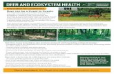 Deer and Ecosystem Health · Deer can be a threat to forests. The white-tailed deer, one of New York’s largest mammals, is an important part of our forest ecosystems. However, deer