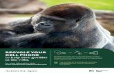 RECYCLE YOUR CELL PHONE - Houston Zoo · Handheld electronic devices like cell phones contain a material called tantalum. Tantalum comes from coltan, a metallic ore that is destructively