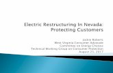 West Virginia Consumer Advocate Committee on Energy ...energy.nv.gov/.../2017/...Protecting_Customers.pdf · Just in case the predictions of significant retail competition and lower