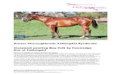 Dream Thoroughbreds Talkingdol Syndicate Unnamed yearling ...€¦ · Dream Thoroughbreds Exception Syndicate Yearling Bay Colt By Foxwedge out of Talkingdol Page 4 of 25 Pedigree