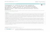 Subtypes in clinical burnout patients enrolled in an ... · been going on during the last years [9–12, 31–54] whether burnout can be seen as a distinct construct or rather a new