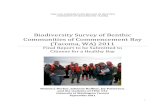 Biodiversity Survey of Benthic Communities of Commencement ...courses.washington.edu/commbay/uwt_biodiversity... · Funding for this class was provided by the UWT Center for Leadership