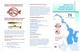 DO NOT EAT ANY BREAM FROM THE Should I Eat DERWENT AND ... · and OTHER DERWENT-CAUGHT FISH All fish contain a small amount of mercury - even those from the open ocean. This influences