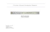 iTunes Visual Analysis Reportdinoa/portfolio/622/622-VisualE... · 2005-10-18 · iTunes digital music application by applying visual principles to established heuristic evaluation
