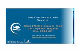 Copernicus Marine Service · Annual Report 80 scientific experts from more than 25 institutions Global ocean and European Seas C M E M S - O c e a n S t a t e R e p o r t 2016 2017