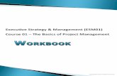 Executive Strategy & Management (ESM01) Course 01 The ... · Course 01 – The Basics of Project Management . Slide 1 : 1384 -1 14 m 663 - 5402 C