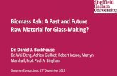 Biomass Ash: A Past and Future Raw Material for Glass-Making?...History of Biomass Ash in Glass 1. st – 4. th. Century A.D. Roman Empire produced large amounts of glassware (Cagno.