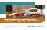 Managing Overload - Balancing Adaptation Capacity with ...€¦ · managing overload by balancing the change demands placed on the organization with its capacity to absorb these changes.