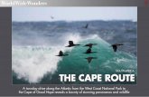 SOUTH AFRICA THE CAPE ROUTE - animamundimag.com€¦ · The Cape cormorant Phalacrocorax capensisis endemic to the southwestern coasts of Africa. It breeds from Namibia south to southern