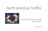 North American Truffles and Lagotto Romagnolos.pdf · Distribution: Western Pacific Northwest. Habitat: Relatively young Douglas-fir, often 4-40 inches deep in the soil Sporse: 65-80