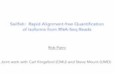 Sailfish: Rapid Alignment-free Quantification of Isoforms ...ckingsf/class/02-714/Lec05-sailfish.pdf · Sailfish: Rapid Alignment-free Quantification of Isoforms from RNA-Seq Reads