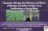 Economics, Nitrogen Use Efficiency and Effects of Nitrogen and … · Economics, Nitrogen Use Efficiency and Effects of Nitrogen and Sulfur Fertilizer Level Combinations on Spring